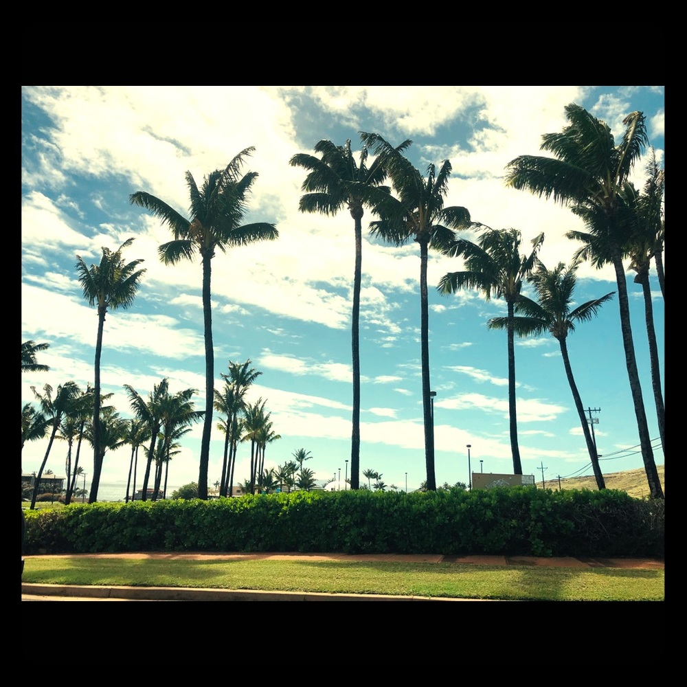 Meet your Posher, Jill